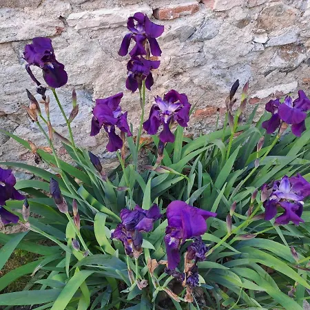 F1 Proche Des Thermes 아파트 비시